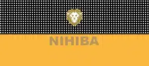 Nicotine Pouches in RAK